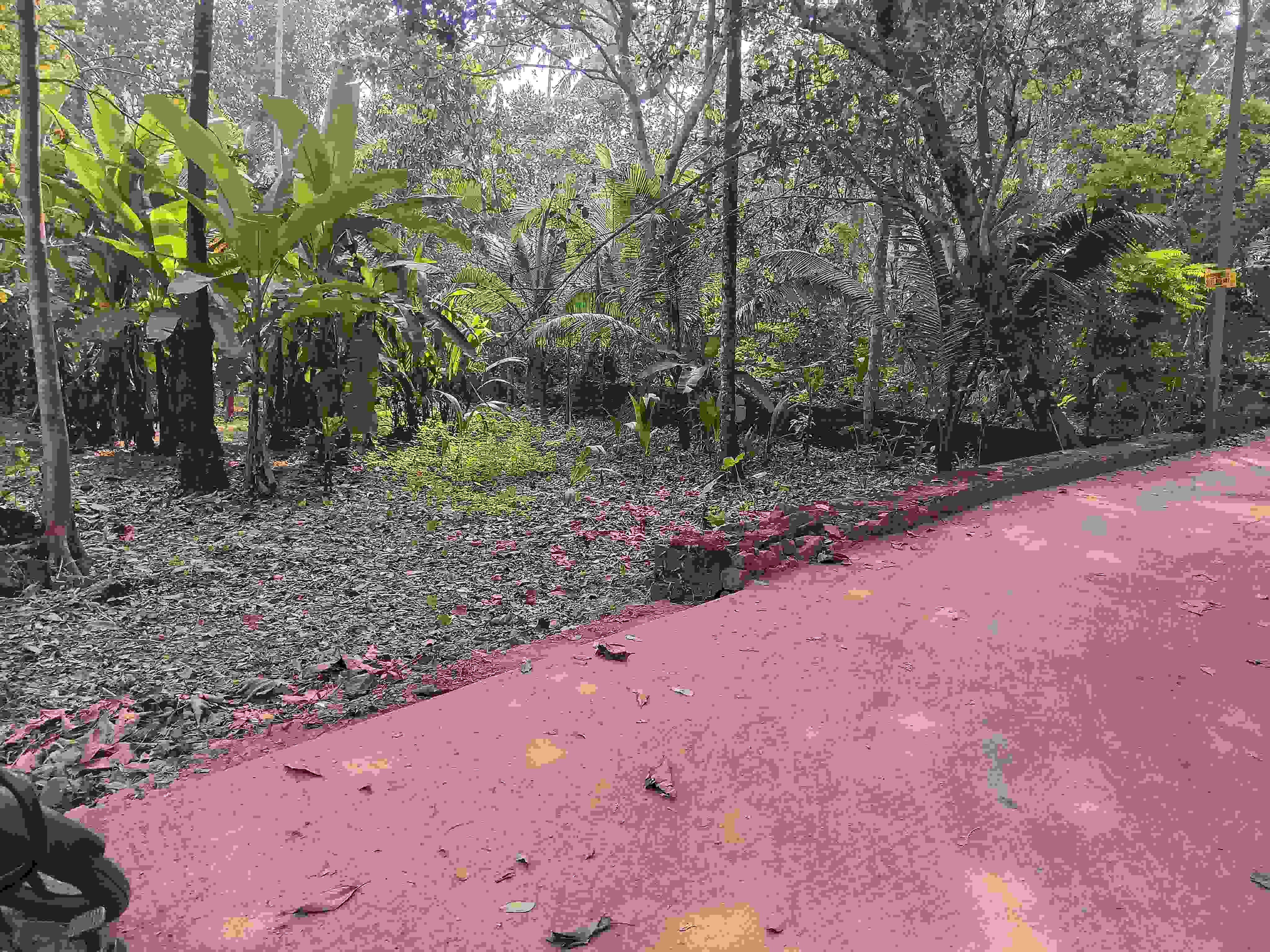 kozhikode peringolam house pote for sale